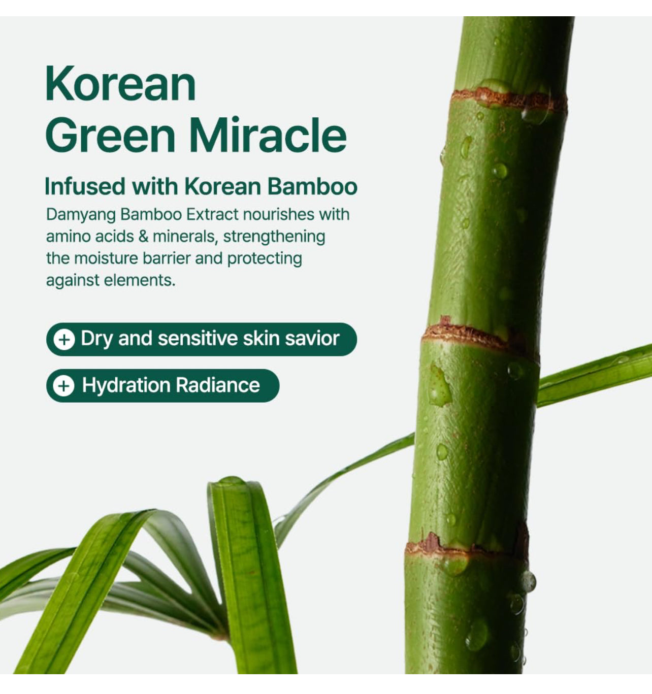 PURITO Mighty Bamboo Panthenol