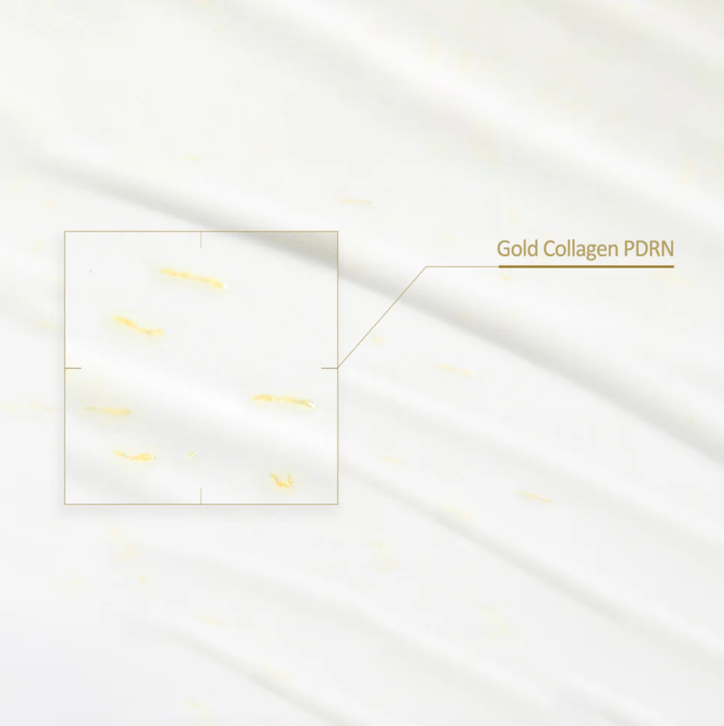 PDRN REEDLE SHOT GOLD ESSENCE