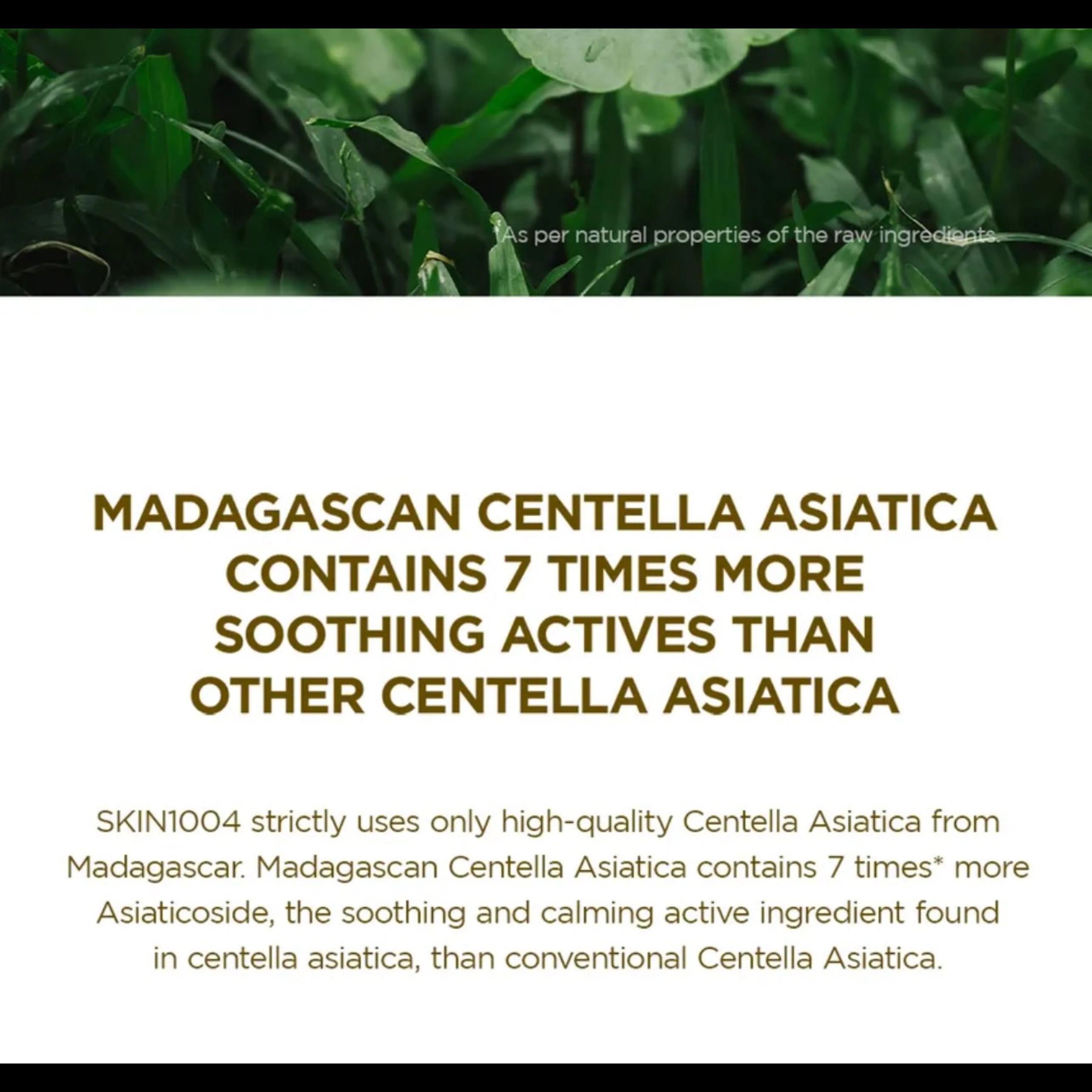 1004 Madagascar Centella Ampoule 55ml